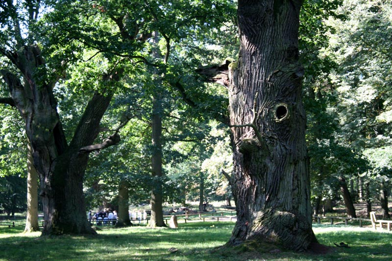 Killikus&reg; Fotographie